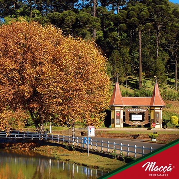 Você sabia que Fraiburgo é a terra da Maçã?